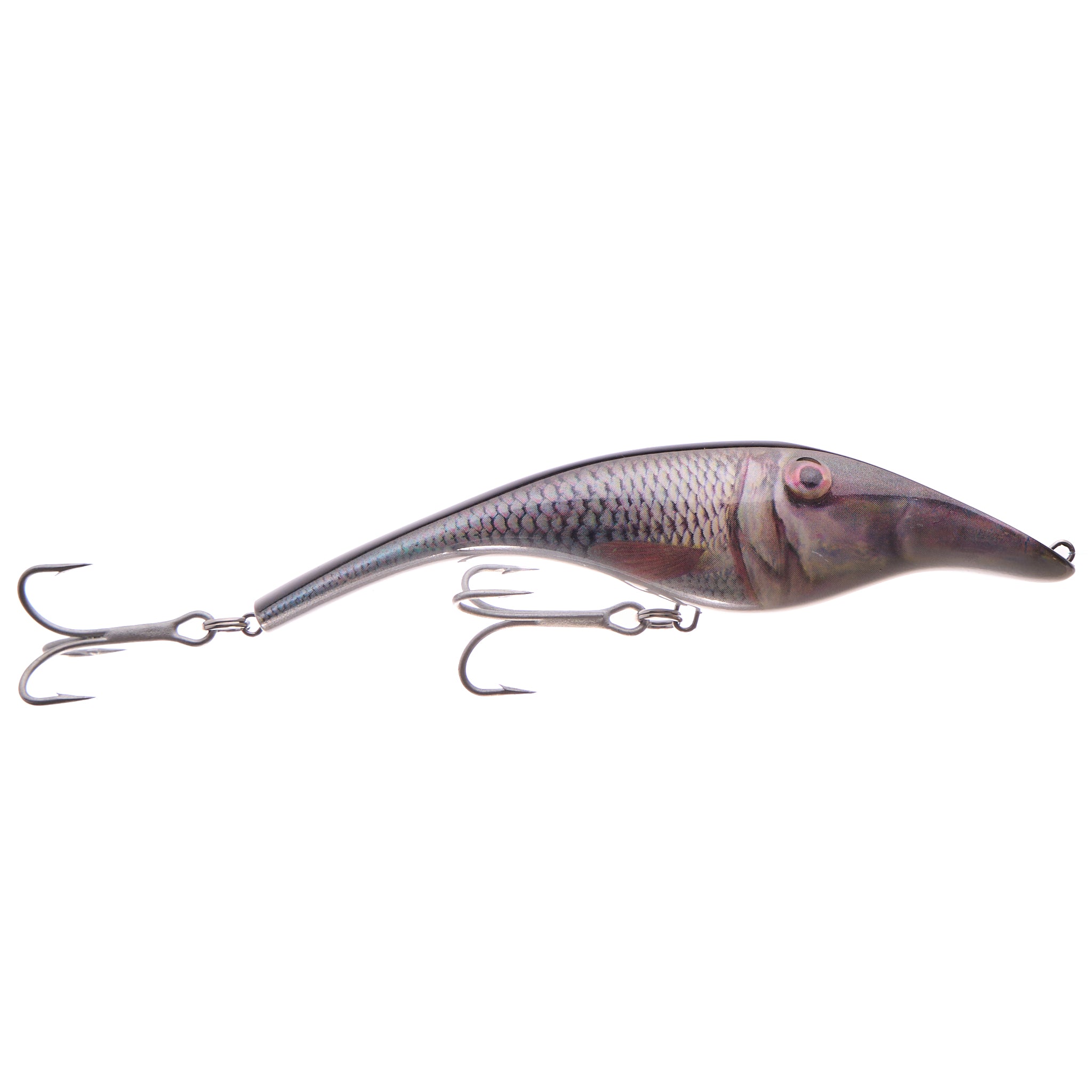 Zalt 14 cm - Roach real