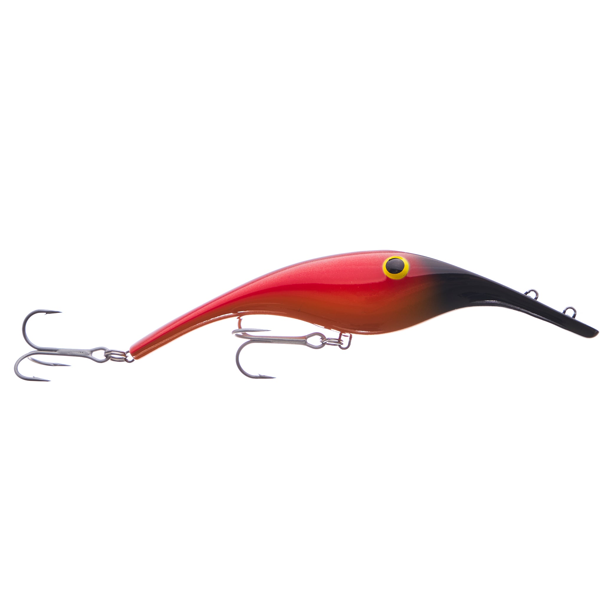 Zalt 16 cm - Parrot