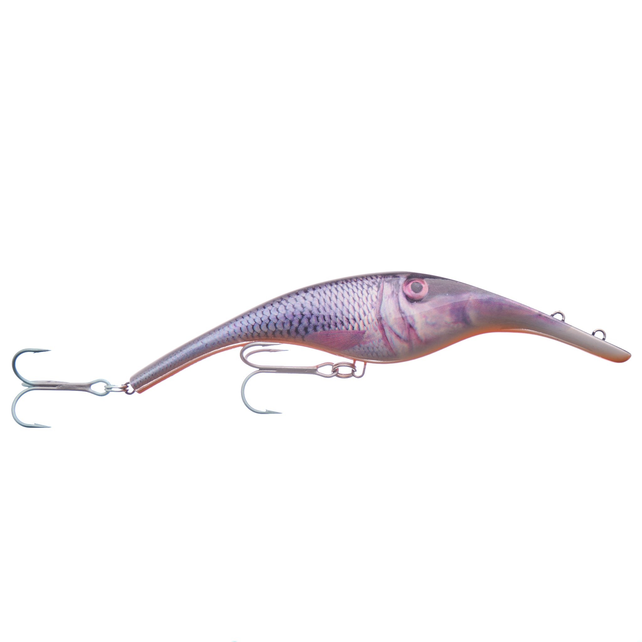 Zalt 16 cm - Roach real