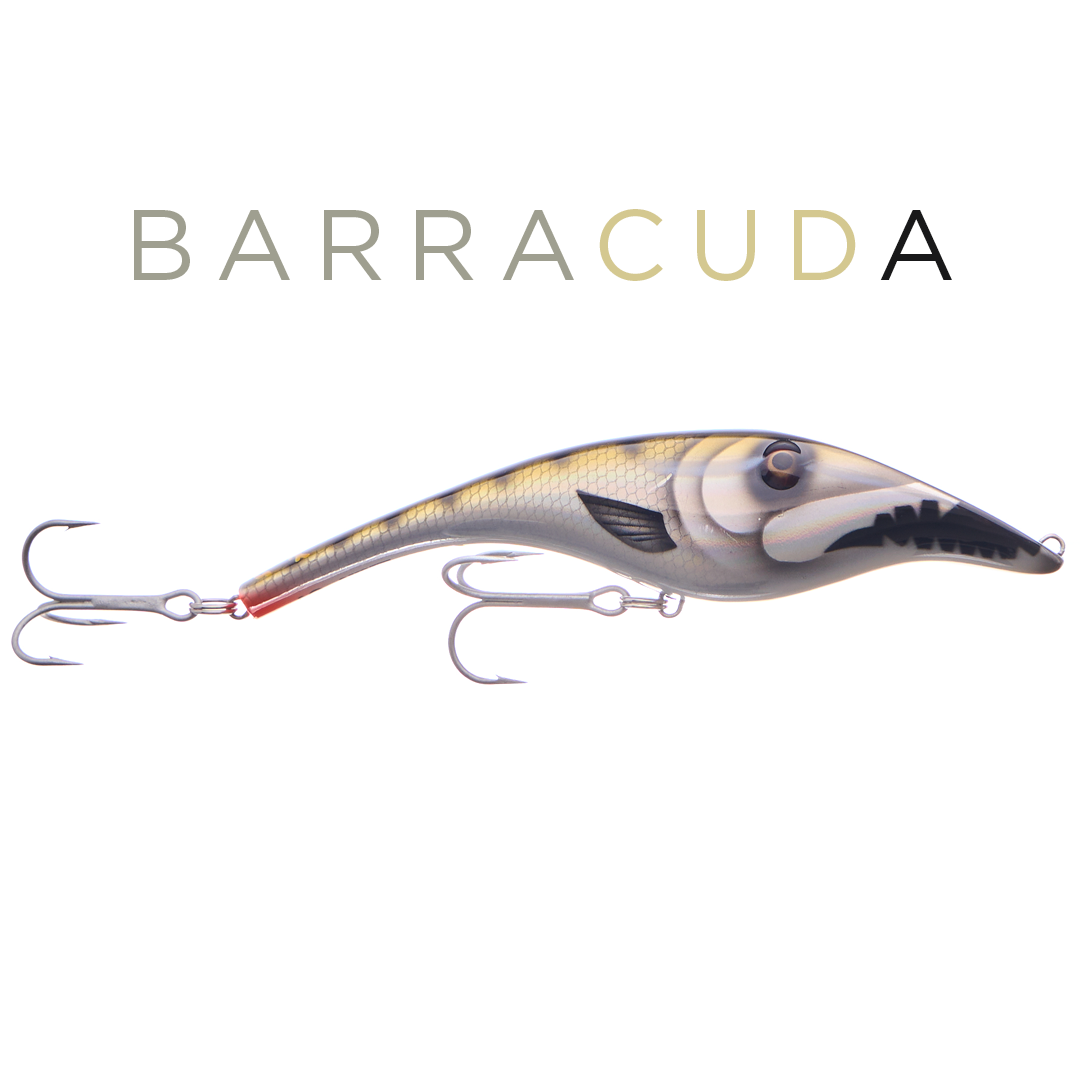 Zalt 14 cm - Barracuda