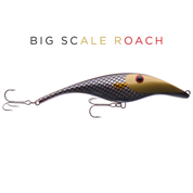 Zalt 17 cm - Big scale Roach