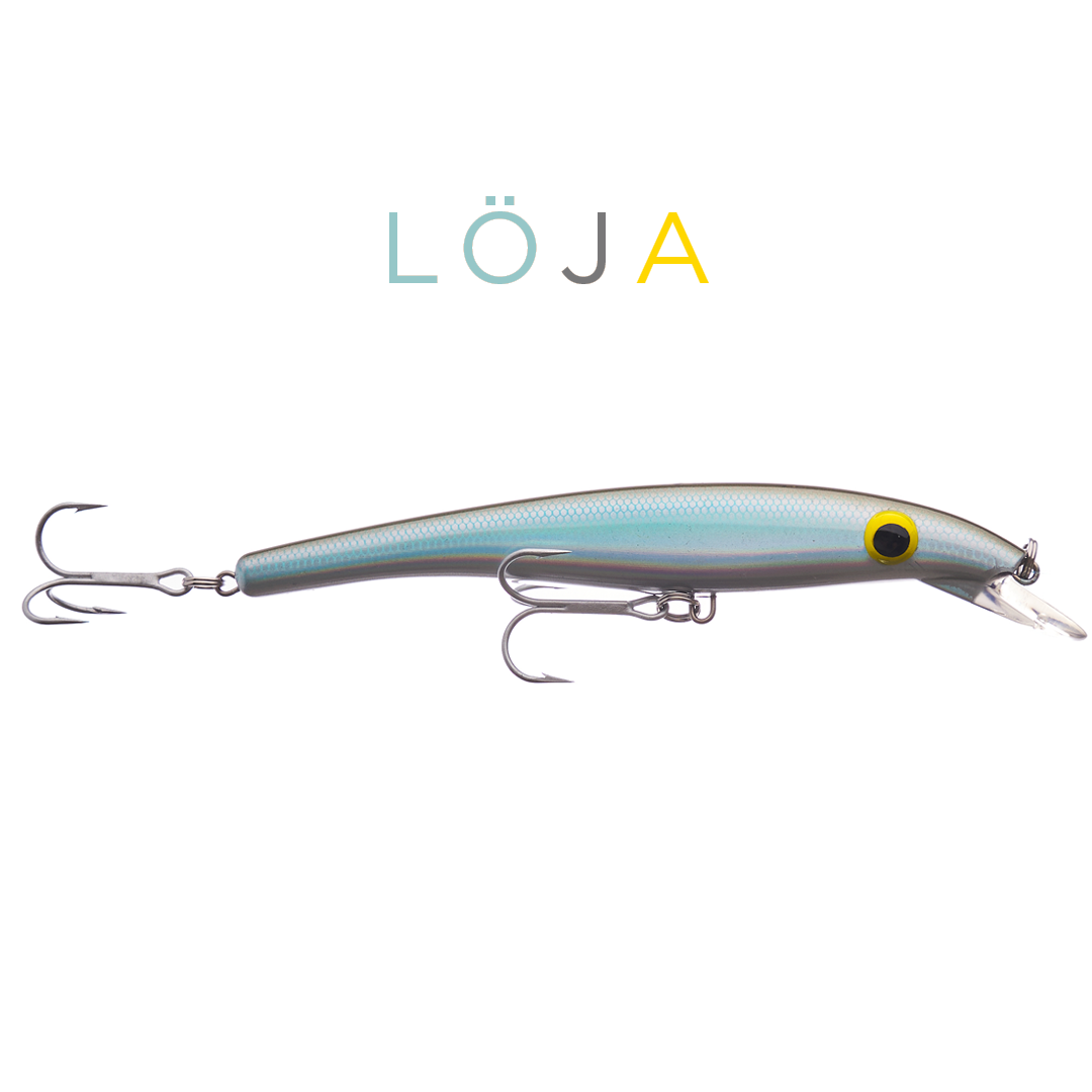 ZAM 16 cm - Löja