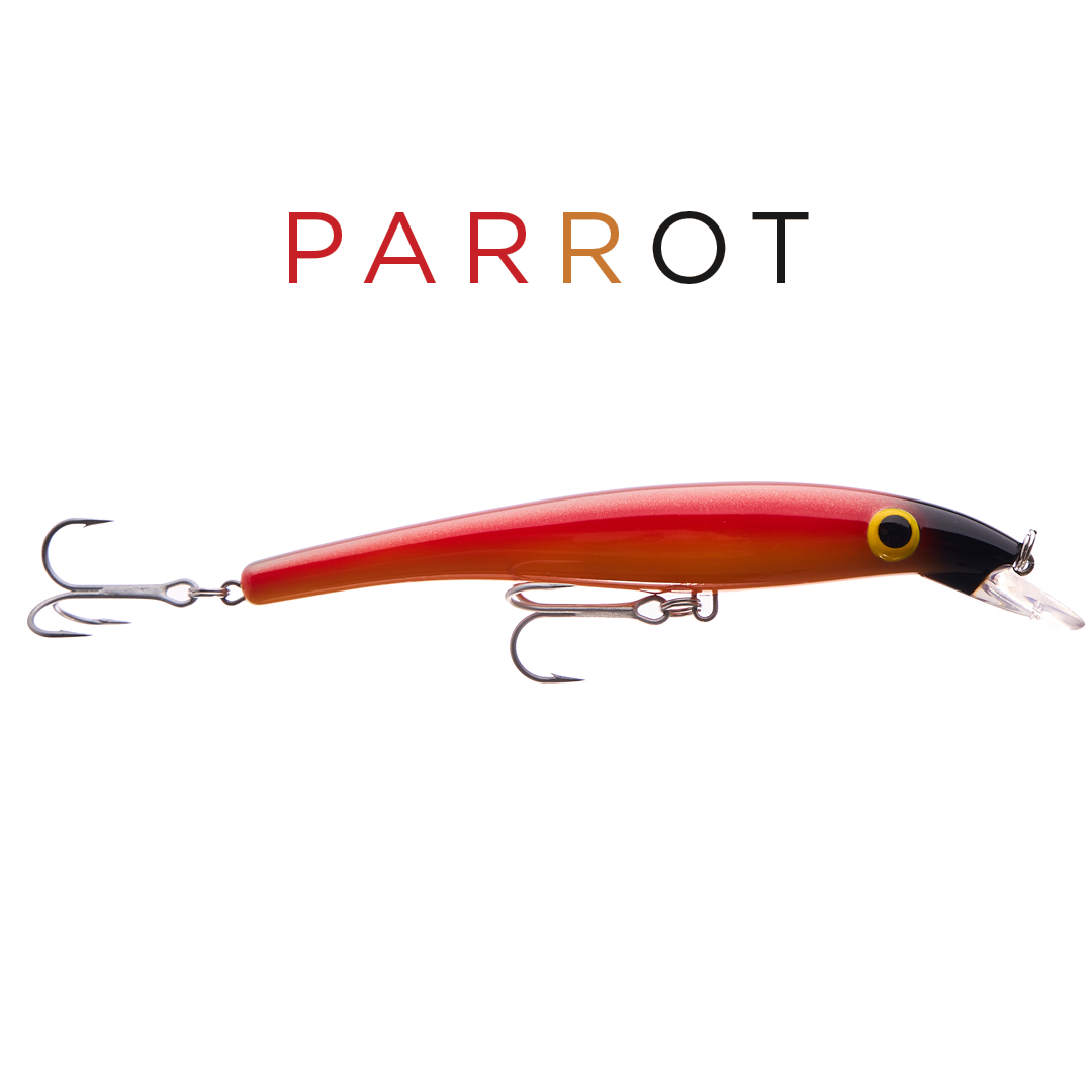 ZAM 16 cm - Parrot