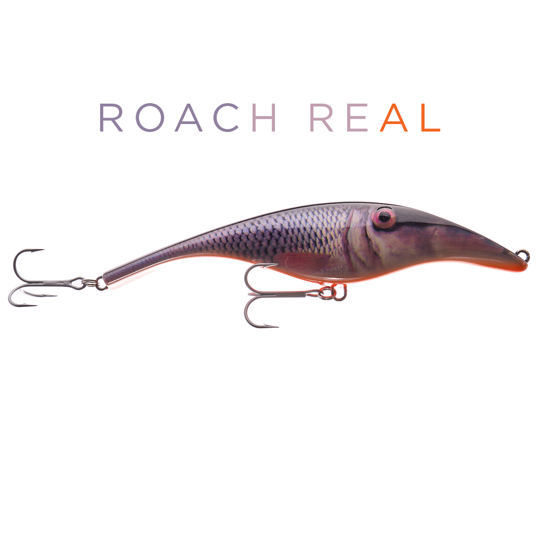 Zalt 17 cm - Roach (real)