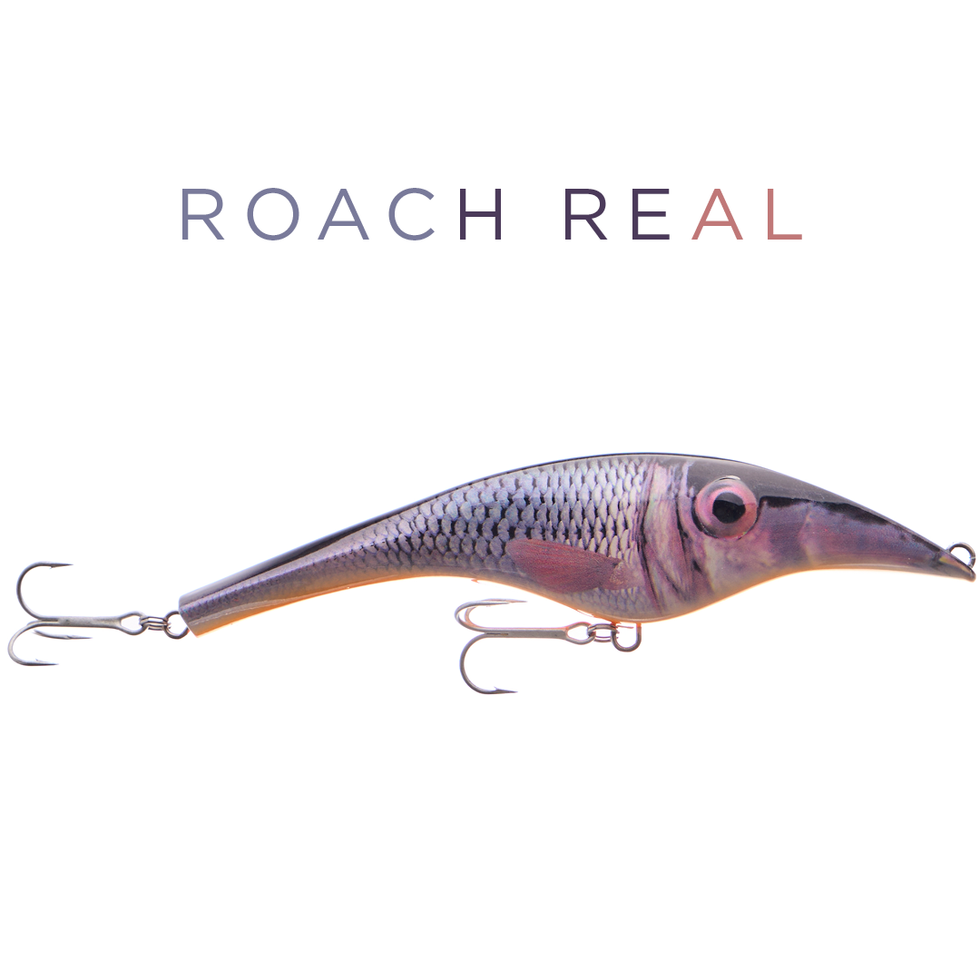 Zalt 20 cm - Roach (real)