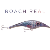 Zalt 25 cm - Roach (real)