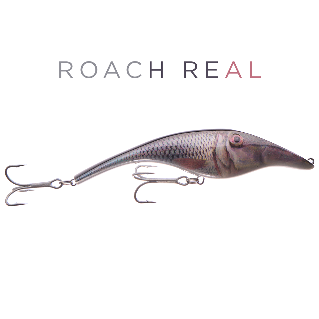 Zalt 14 cm - Roach (real)