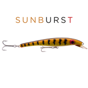 ZAM 16 cm - Sunburst