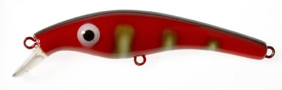 Zam